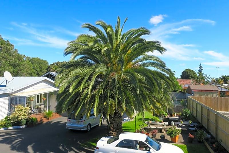 Roselands Motel Tauranga Eksteriør bilde